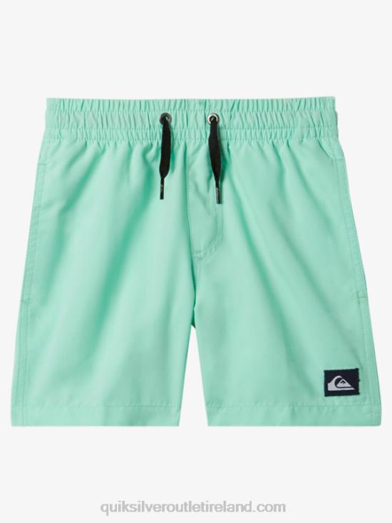 Boys Quiksilver 2-7 Everyday 12 Volleys N02TD1999 beach glass