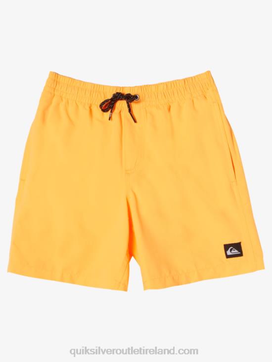 Boys Quiksilver 8-16 Everyday 15Volleys N02TD1917 orange pop