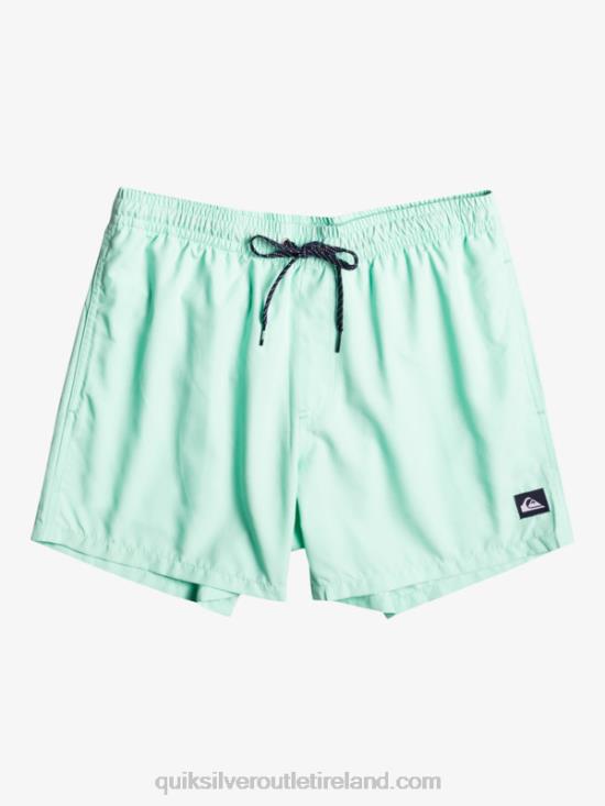 Boys Quiksilver 8-16 Everyday 15Volleys N02TD1919 beach glass