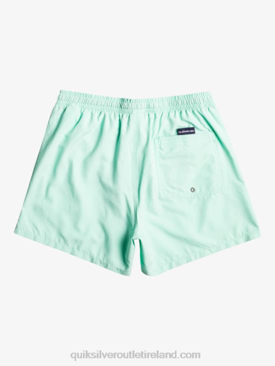 Boys Quiksilver 8-16 Everyday 15Volleys N02TD1919 beach glass