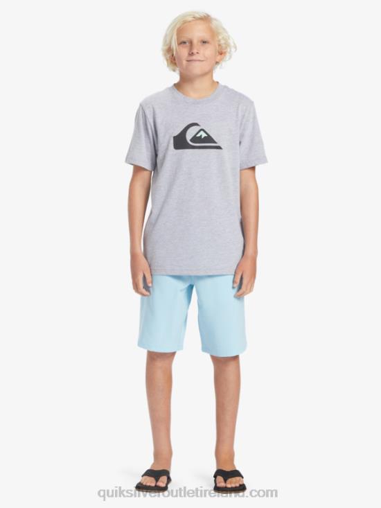 Boys Quiksilver 8-16 Ocean Elastic 18 Amphibian Boardshorts N02TD2068 sky blue