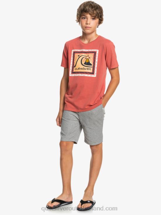 Boys Quiksilver 8-16 Everyday 17 Chino Shorts N02TD2286 light grey heather