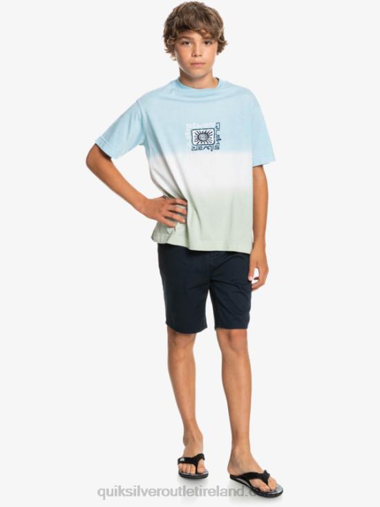 Boys Quiksilver 8-16 Everyday 17 Chino Shorts N02TD2289 navy blazer