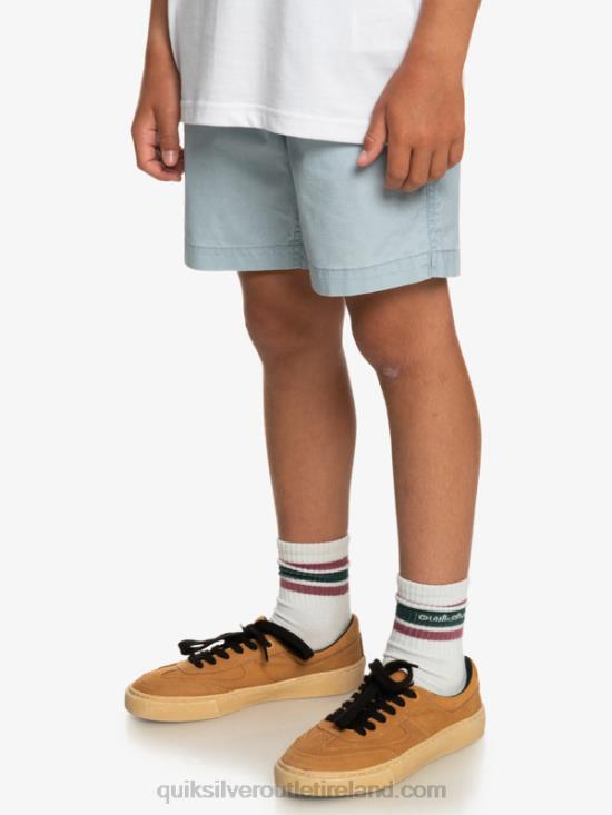 Boys Quiksilver 8-16 Taxer 15 Elastic Waist Shorts N02TD2082 celestial blue