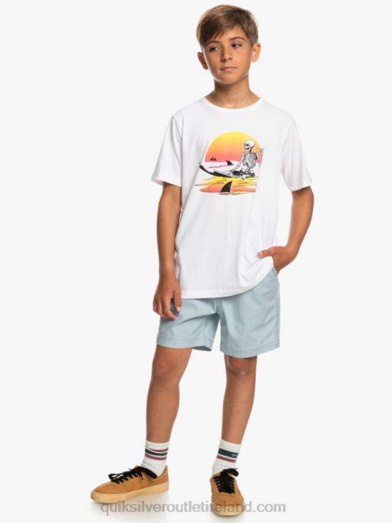 Boys Quiksilver 8-16 Taxer 15 Elastic Waist Shorts N02TD2082 celestial blue