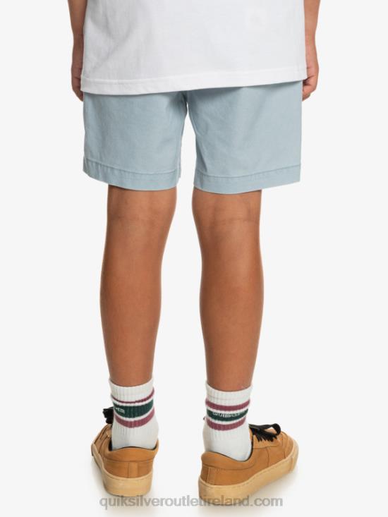 Boys Quiksilver 8-16 Taxer 15 Elastic Waist Shorts N02TD2082 celestial blue