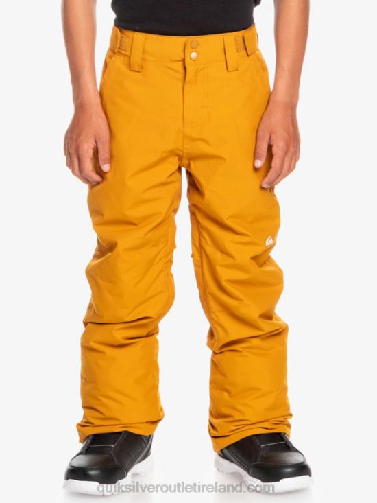 Boys Quiksilver 8-16 Estate Snow Pants N02TD2293 buckthorn brown