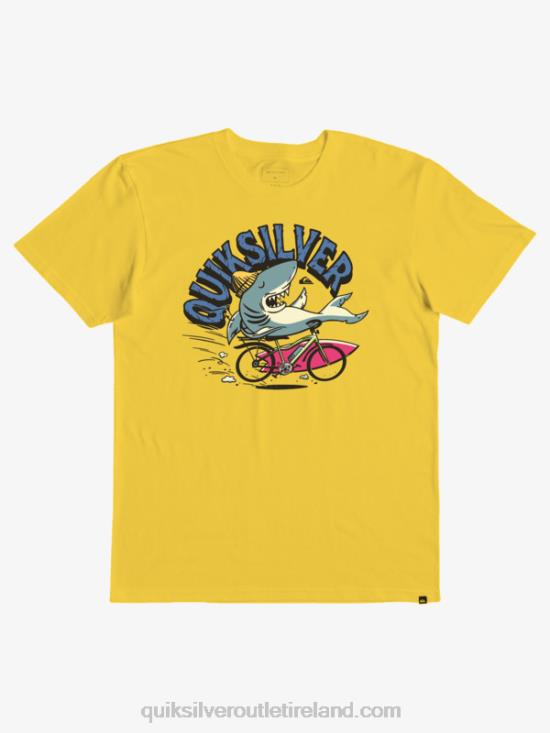 Boys Quiksilver 2-7 At Risks T-shirt N02TD2171 snapdragon