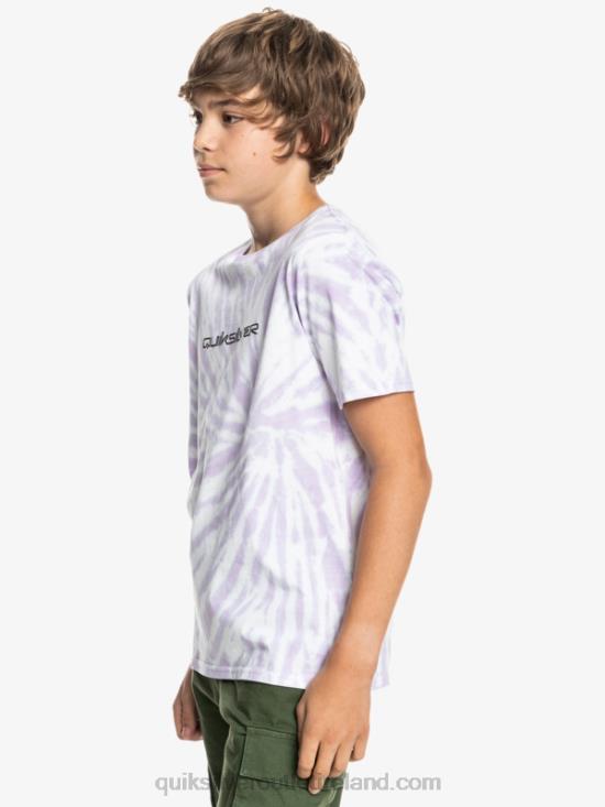Boys Quiksilver 8-16 Omni T-Shirt N02TD2312 white