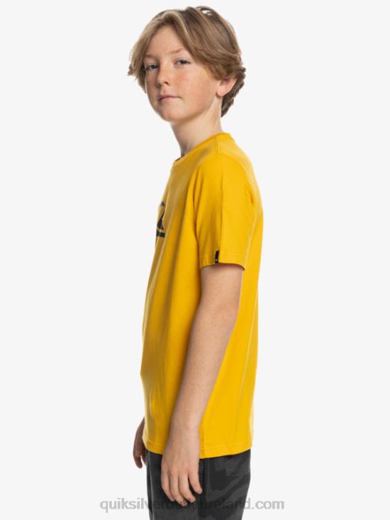 Boys Quiksilver Comp Logo - T-Shirt N02TD2316 golden rod