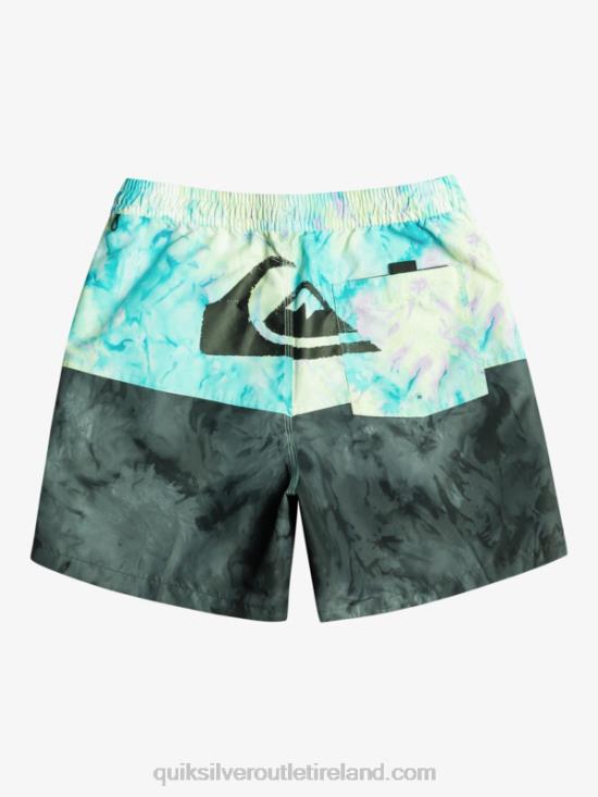 Men Quiksilver Butt Logo 17 Volleys N02TD486 black