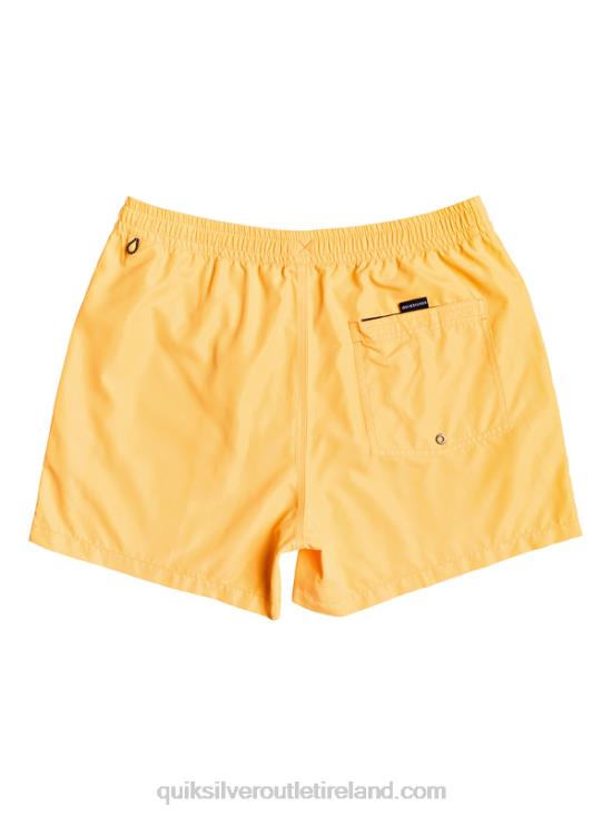 Men Quiksilver Everyday 15 Volleys N02TD459 orange pop