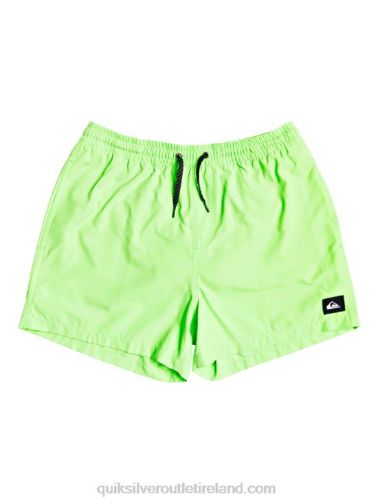 Men Quiksilver Everyday 15 Volleys N02TD460 green gecko