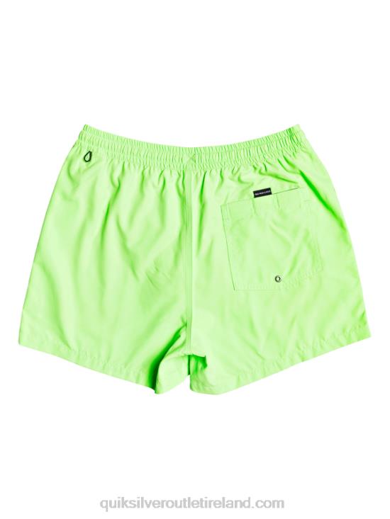 Men Quiksilver Everyday 15 Volleys N02TD460 green gecko