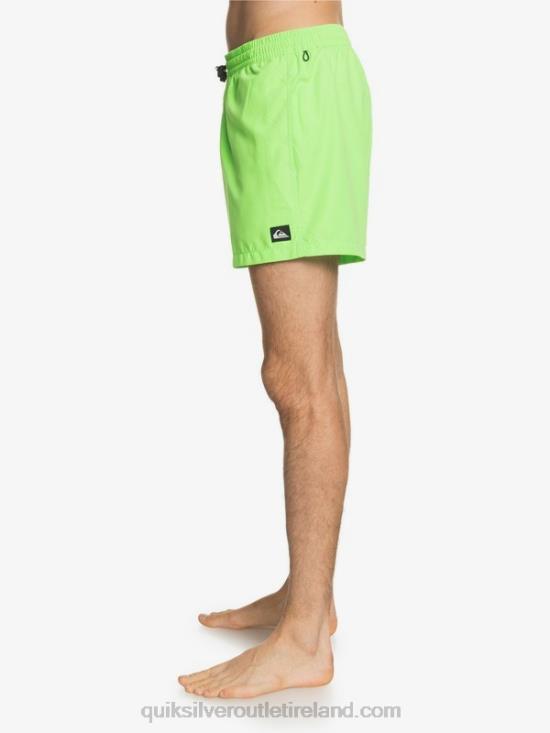 Men Quiksilver Everyday 15 Volleys N02TD460 green gecko