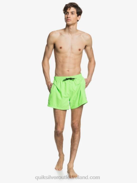 Men Quiksilver Everyday 15 Volleys N02TD460 green gecko