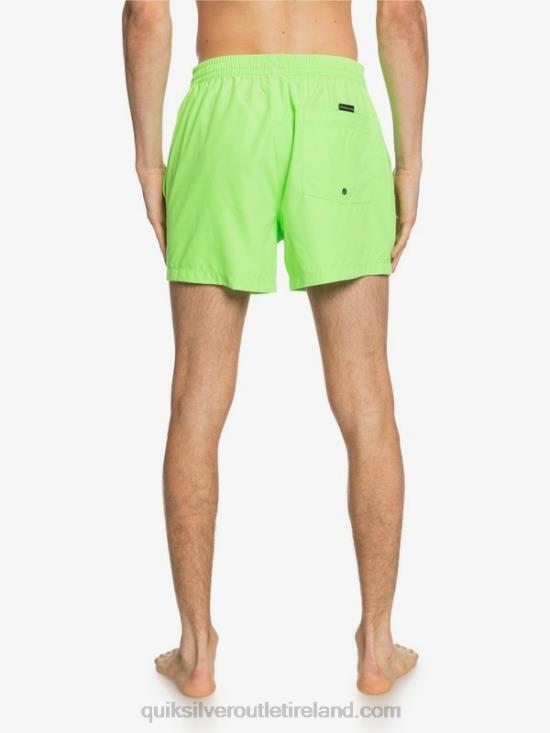 Men Quiksilver Everyday 15 Volleys N02TD460 green gecko