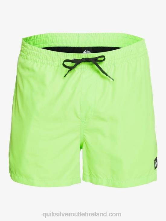 Men Quiksilver Everyday 15 Volleys N02TD460 green gecko