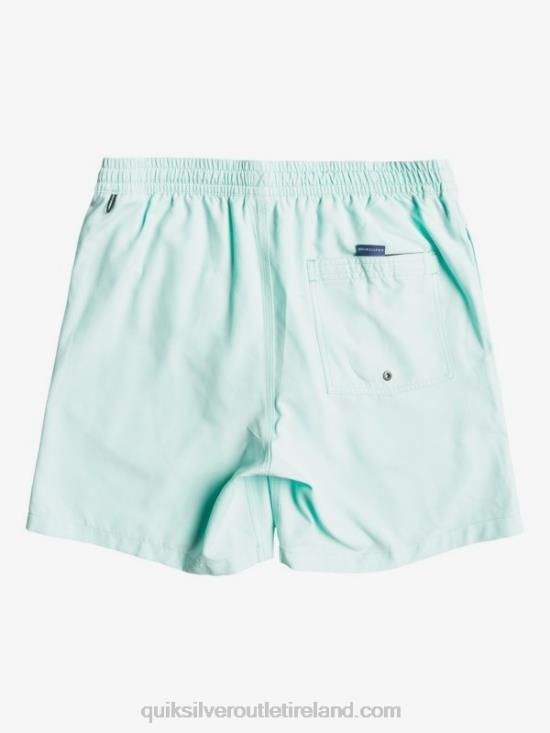 Men Quiksilver Everyday 17 Volleys N02TD1529 blue light