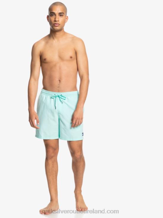 Men Quiksilver Everyday 17 Volleys N02TD1529 blue light