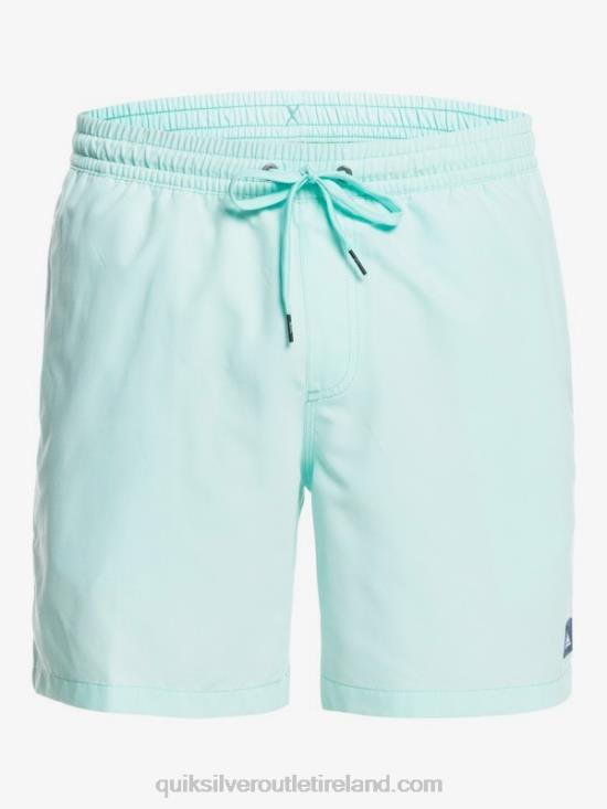 Men Quiksilver Everyday 17 Volleys N02TD1529 blue light