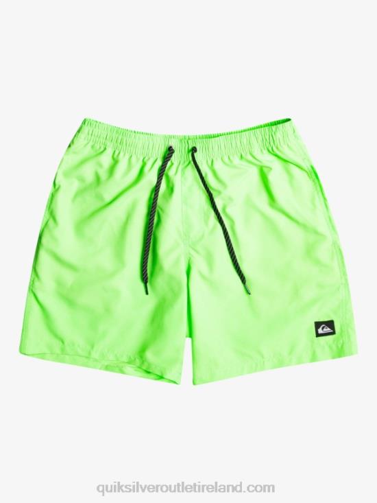 Men Quiksilver Everyday 17 Volleys N02TD621 green gecko