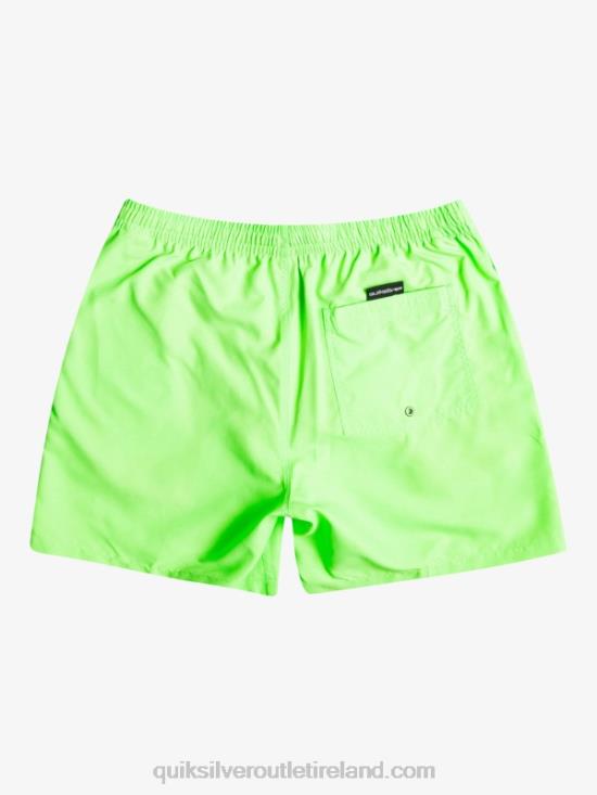 Men Quiksilver Everyday 17 Volleys N02TD621 green gecko