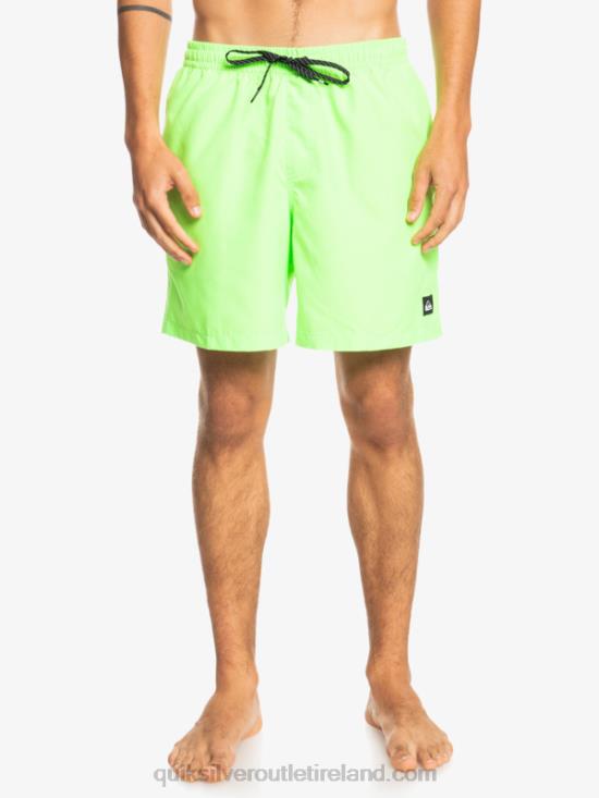 Men Quiksilver Everyday 17 Volleys N02TD621 green gecko