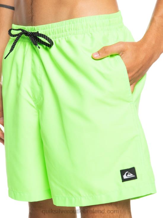 Men Quiksilver Everyday 17 Volleys N02TD621 green gecko