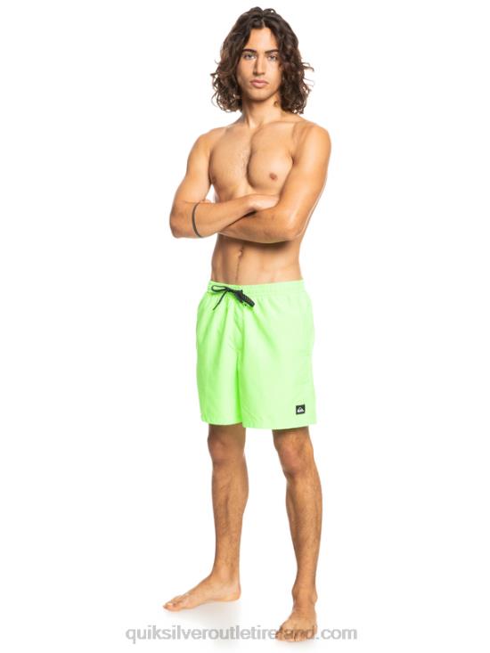 Men Quiksilver Everyday 17 Volleys N02TD621 green gecko