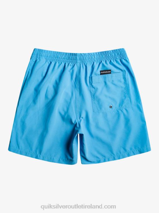 Men Quiksilver Everyday 17 Volleys N02TD622 blithe
