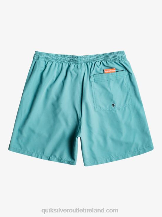 Men Quiksilver Everyday 17 Volleys N02TD627 brittany blue