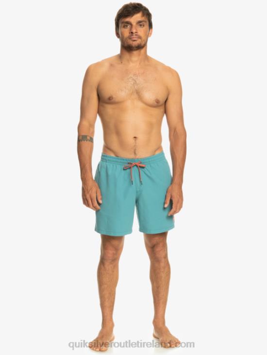 Men Quiksilver Everyday 17 Volleys N02TD627 brittany blue