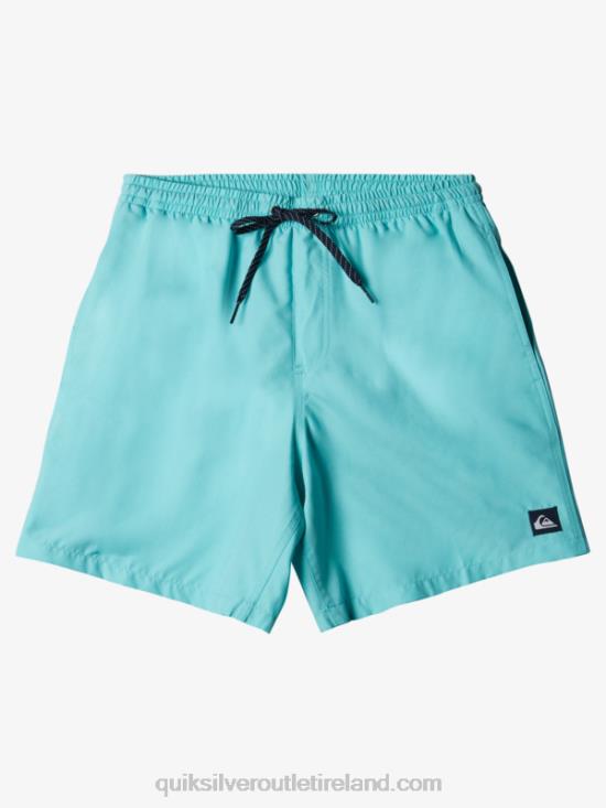 Men Quiksilver Everyday 17 Volleys N02TD630 angel blue heather