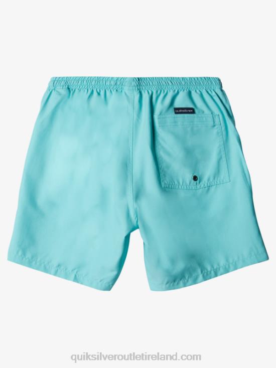 Men Quiksilver Everyday 17 Volleys N02TD630 angel blue heather
