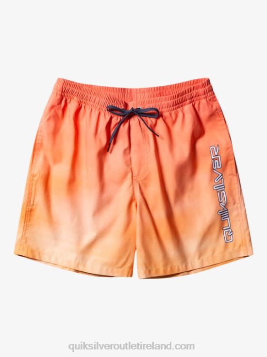Men Quiksilver Everyday Breeze 17 Volleys N02TD721 copper tan