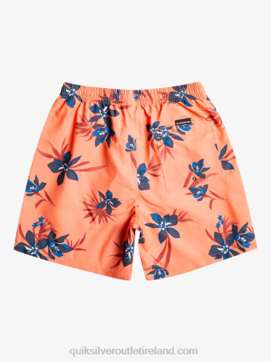 Men Quiksilver Everyday Mix 17 Volleys N02TD1209 fresh salmon