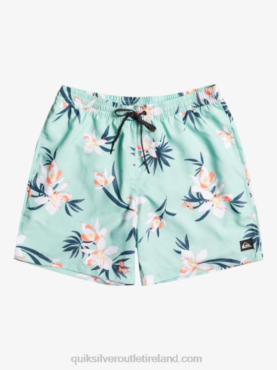 Men Quiksilver Everyday Mix 17 Volleys N02TD1211 beach glass