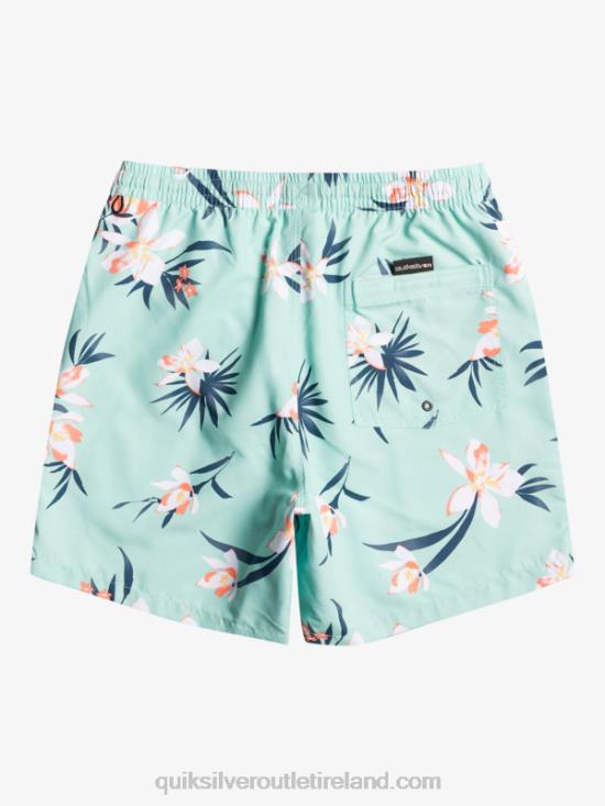 Men Quiksilver Everyday Mix 17 Volleys N02TD1211 beach glass