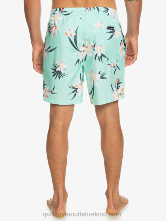 Men Quiksilver Everyday Mix 17 Volleys N02TD1211 beach glass