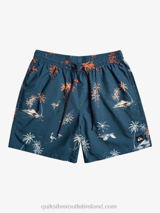 Men Quiksilver Everyday Mix 17 Volleys N02TD1465 majolica blue