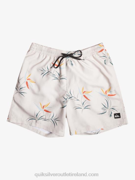 Men Quiksilver Everyday Mix 17 Volleys N02TD676 birch