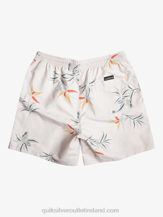 Men Quiksilver Everyday Mix 17 Volleys N02TD676 birch