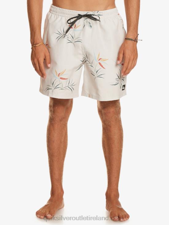 Men Quiksilver Everyday Mix 17 Volleys N02TD676 birch