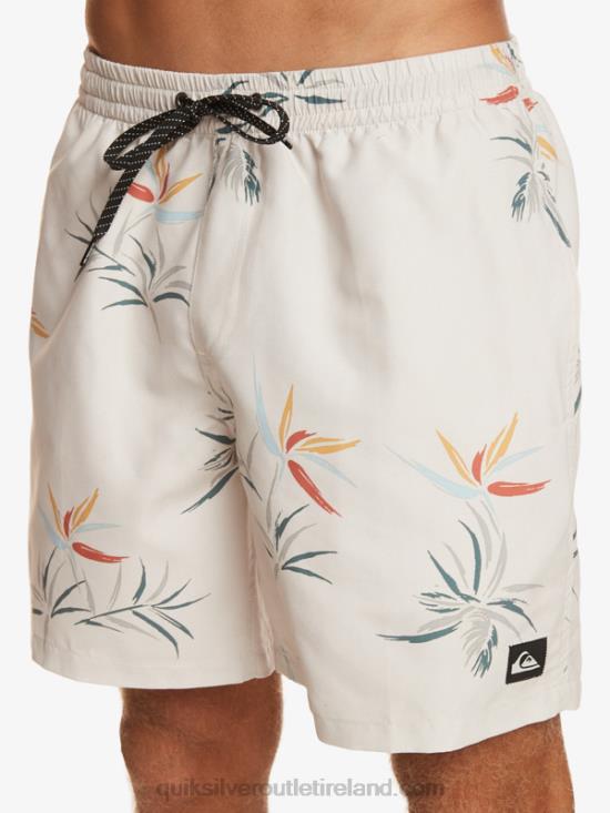 Men Quiksilver Everyday Mix 17 Volleys N02TD676 birch