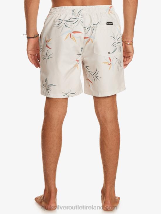 Men Quiksilver Everyday Mix 17 Volleys N02TD676 birch