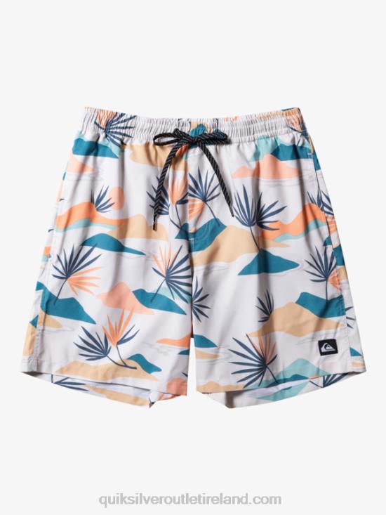 Men Quiksilver Everyday Mix 17 Volleys N02TD678 birch