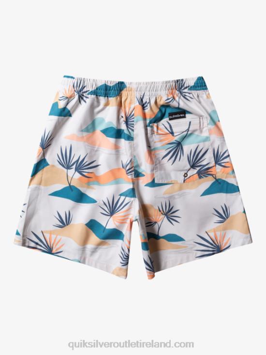 Men Quiksilver Everyday Mix 17 Volleys N02TD678 birch