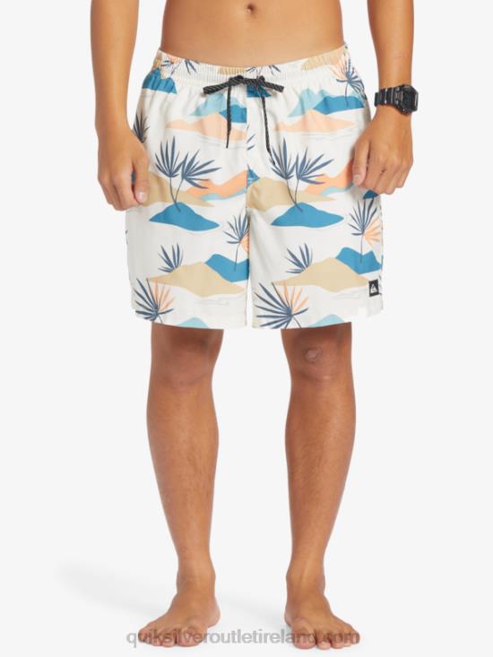 Men Quiksilver Everyday Mix 17 Volleys N02TD678 birch