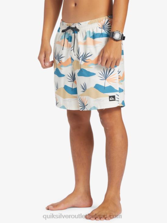 Men Quiksilver Everyday Mix 17 Volleys N02TD678 birch